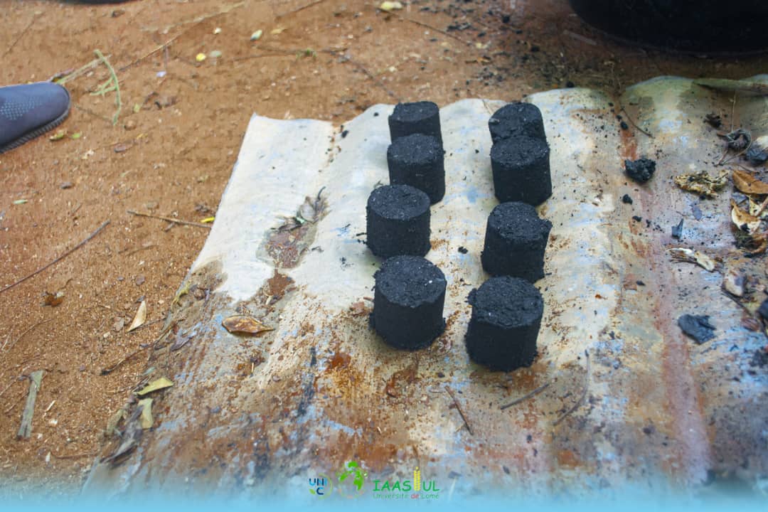 Entrepreneuriat Vert